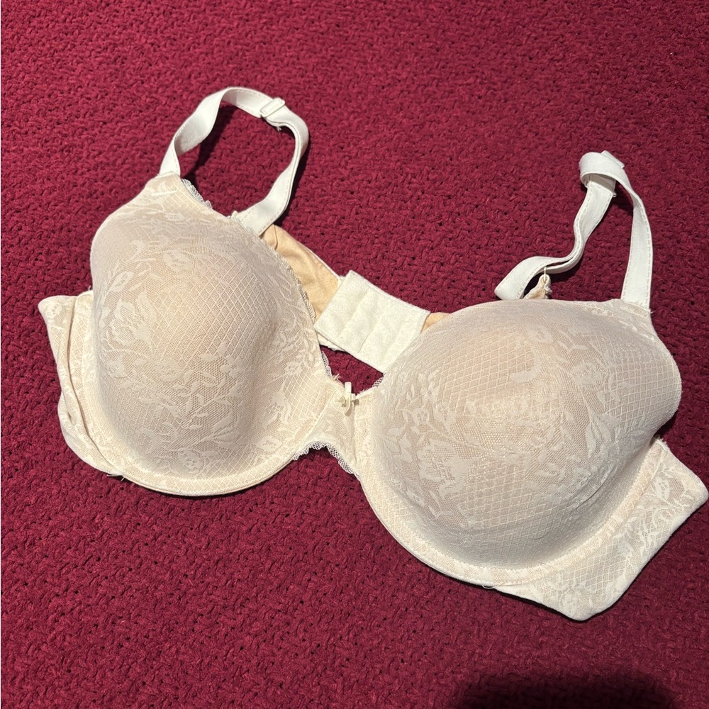 Maidenform Cream and Tan Lace Padded Bra Size 40C